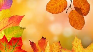OKTOBER